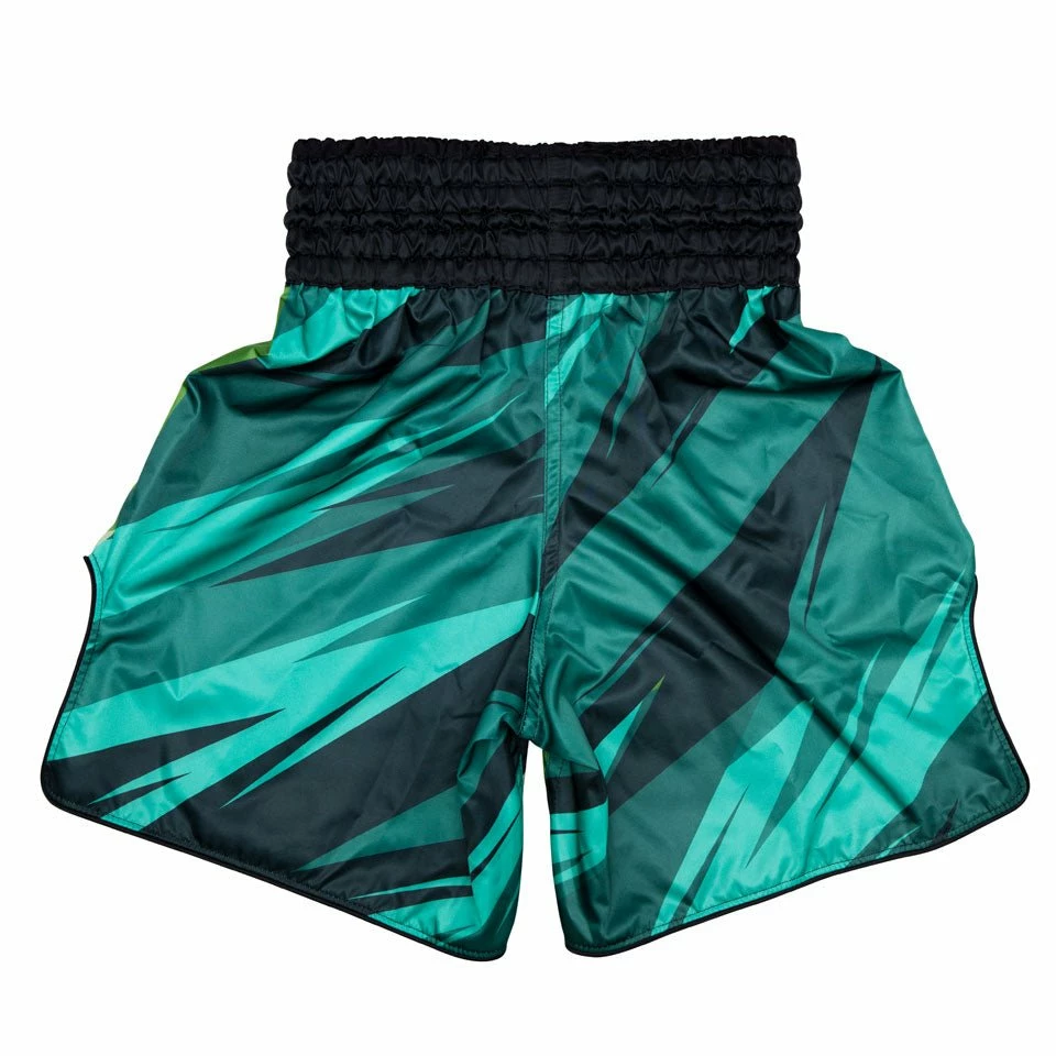 BT2007 Fairtex Boxing Shorts Two-Tone - Image 3