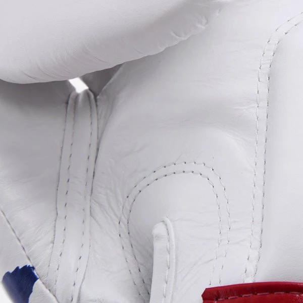 Fairtex Boxing Gloves - BGV1 Thai Pride - Image 3