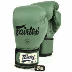 Fairtex Boxing Gloves - BGV11 F-Day